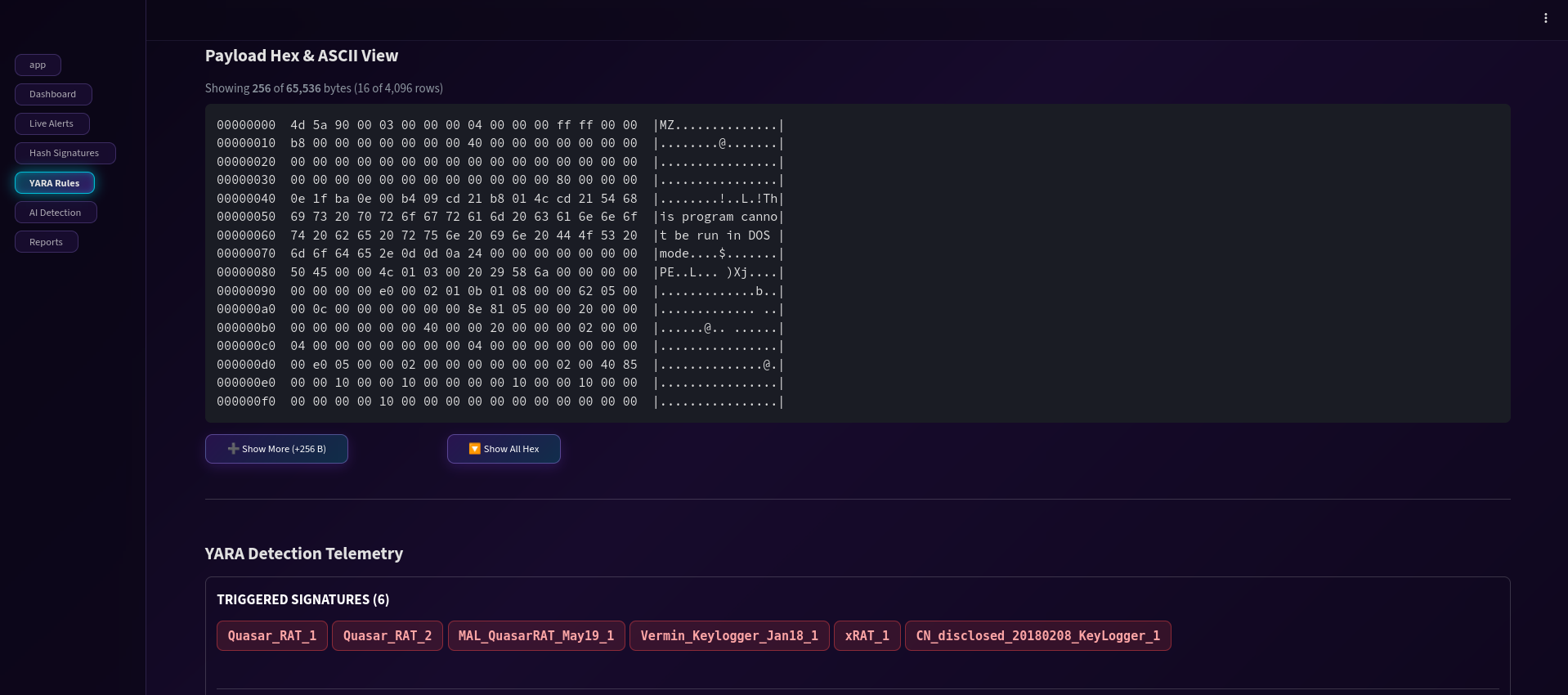 YARA Detection